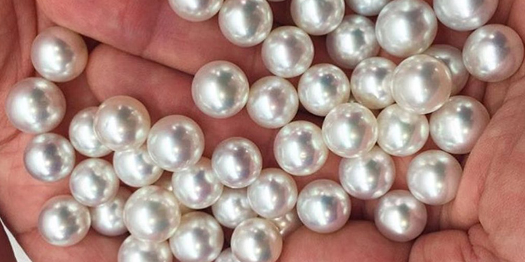 how to buy pearls